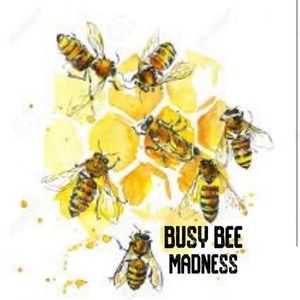 Meet your Posher, Syble